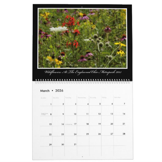 Kalender der Wildblumen-2017 durch Thomas Minutolo (Mär 2026)