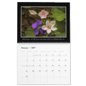 Kalender der Wildblumen-2017 durch Thomas Minutolo (Feb 2027)