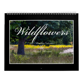Kalender der Wildblumen-2017 durch Thomas Minutolo