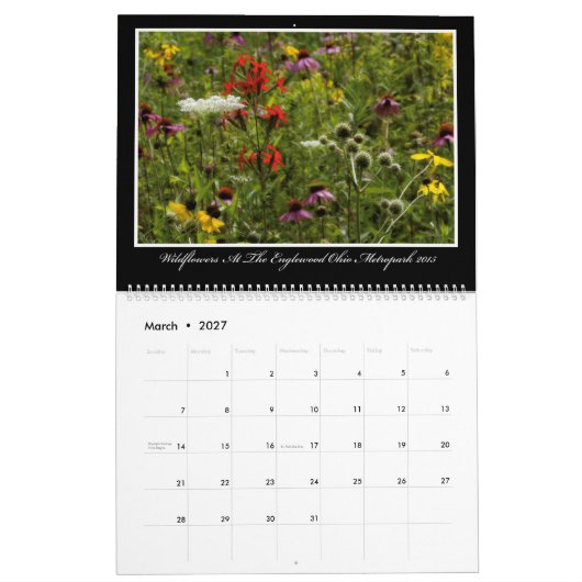 Kalender der Wildblumen-2017 durch Thomas Minutolo (Mär 2027)