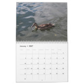 Kalender der Wilden Enten 2022 (Jan 2027)
