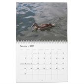 Kalender der Wilden Enten 2022 (Feb 2027)