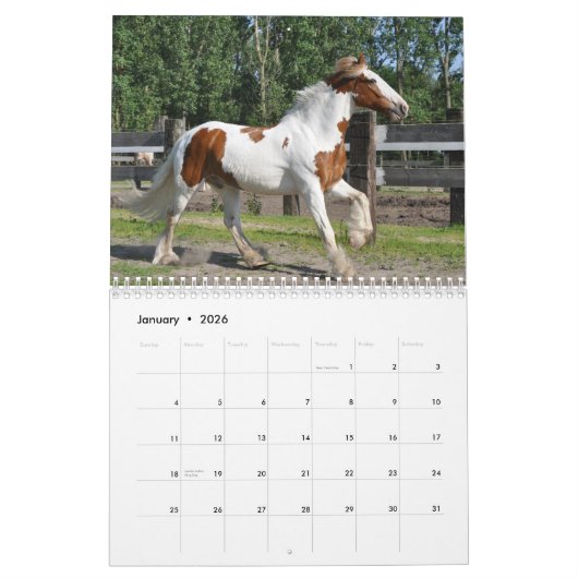 Kalender der Wilden Pferde (Jan 2026)