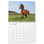 Kalender der Wilden Pferde (Mär 2027)