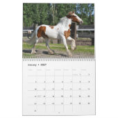 Kalender der Wilden Pferde (Jan 2027)