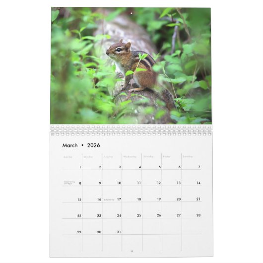 Kalender der Wildfauna an der Ostküste (Mär 2026)