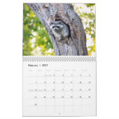 Kalender der Wildfauna an der Ostküste (Feb 2027)