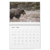 Kalender der Wildlife Fotografy (Mär 2026)