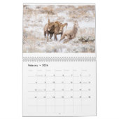 Kalender der Wildlife Fotografy (Feb 2026)