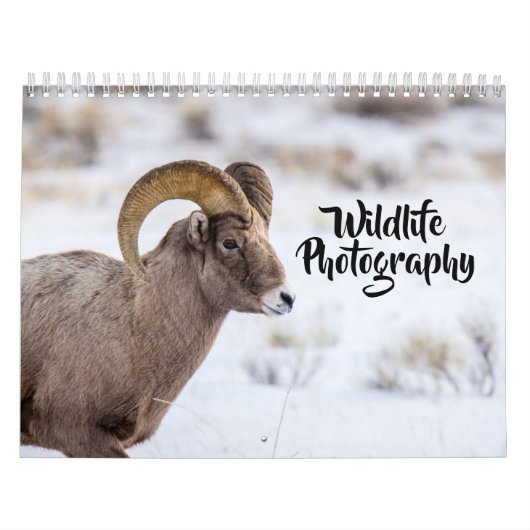 Kalender der Wildlife Fotografy (Titelbild)