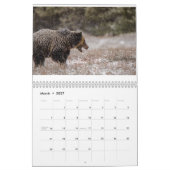 Kalender der Wildlife Fotografy (Mär 2027)