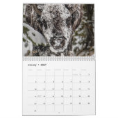 Kalender der Wildlife Fotografy (Jan 2027)