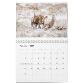 Kalender der Wildlife Fotografy (Feb 2027)