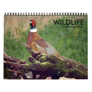 Kalender der Wildlife Fotografy