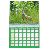 Kalender der Wildlife Fotografy (Mär 2027)