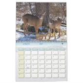 Kalender der Wildlife Fotografy (Jan 2027)