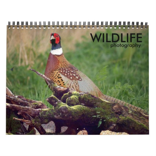 Kalender der Wildlife Fotografy (Titelbild)