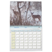 Kalender der Wildlife Fotografy (Feb 2027)