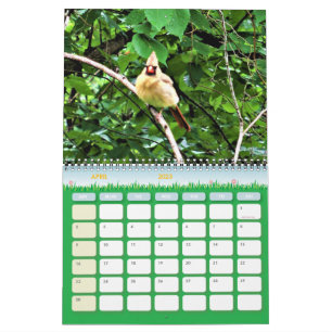 Kalender der Wildlife Fotografy