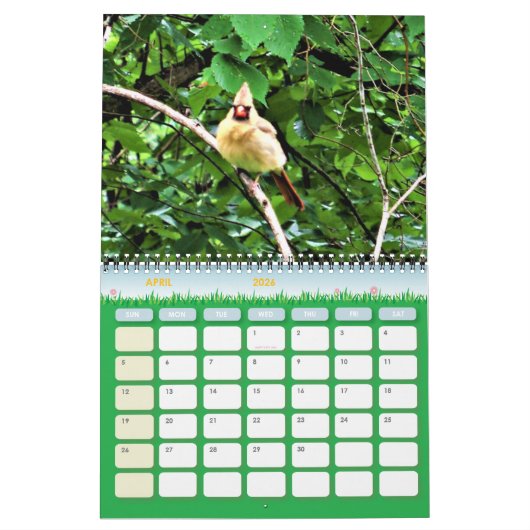 Kalender der Wildlife Fotografy (Apr 2026)