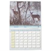 Kalender der Wildlife Fotografy (Feb 2026)