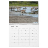 Kalender der Zebra-Manie-2014 (Mär 2027)