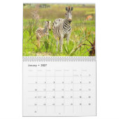 Kalender der Zebra-Manie-2014 (Jan 2027)