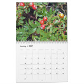 Kalender des Acadia-Nationalpark-2009 (Jan 2027)