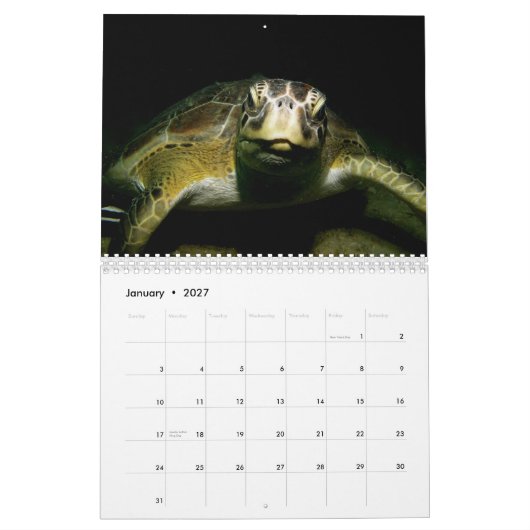 Kalender des Behälter-EIN-Los (Jan 2027)
