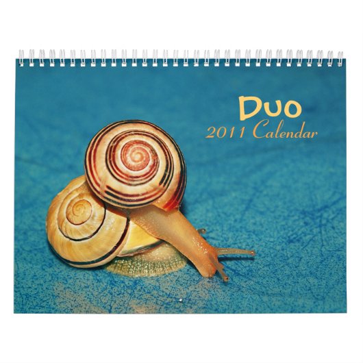 Kalender des Duos 2011 (Titelbild)