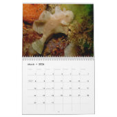 Kalender des Frogfish-2012 (Mär 2026)