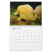 Kalender des Frogfish-2012 (Feb 2026)
