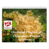Kalender des Frogfish-2012 (Titelbild)