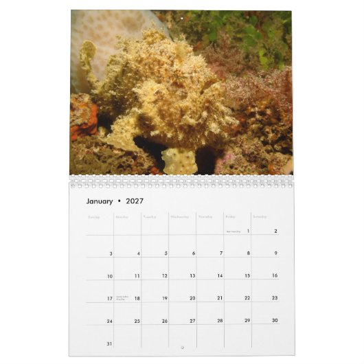 Kalender des Frogfish-2012 (Jan 2027)