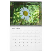 Kalender des Gänseblümchens 2016 (Mär 2027)