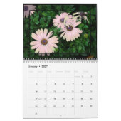 Kalender des Gänseblümchens 2016 (Jan 2027)
