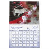 Kalender des Gecko-2019 mit Haube (Feb 2027)