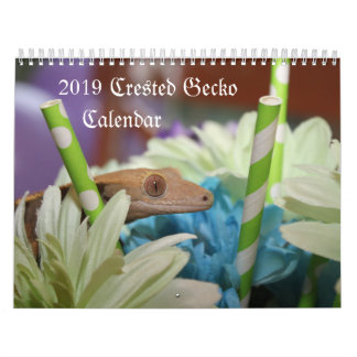 Kalender des Gecko-2019 mit Haube