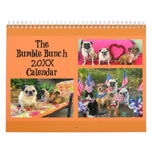 Kalender des Hummel-Bündel-2019 (Titelbild)