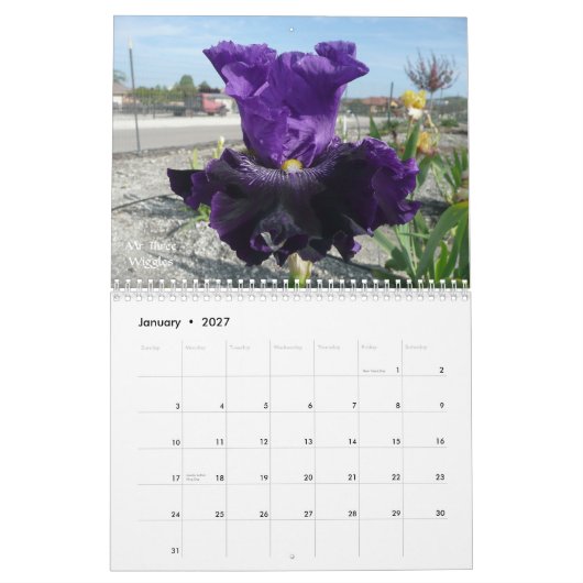 KALENDER DES IRIS-GARTEN-2012 (Jan 2027)