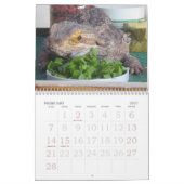 Kalender des Jaspis-2009 (Feb 2027)