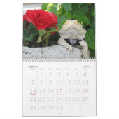 Kalender des Jaspis-2009 (Mär 2027)