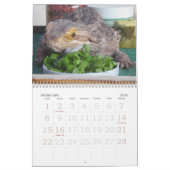 Kalender des Jaspis-2009 (Feb 2026)