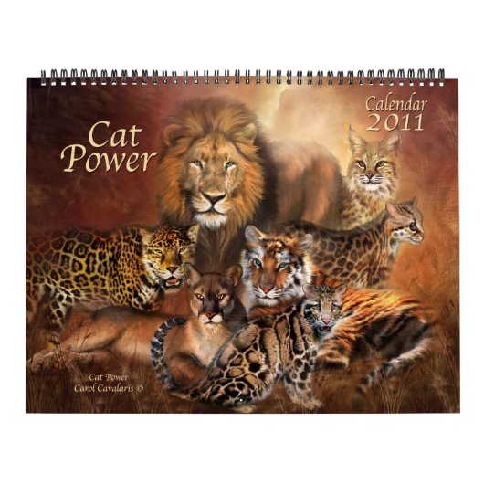 Kalender des Katzen-Power-2011 (Titelbild)
