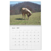 Kalender des ländlichen Lebens (Mär 2027)