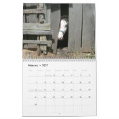 Kalender des ländlichen Lebens (Feb 2027)