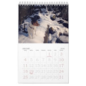 Kalender des Loki-2017 (Jan 2026)