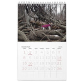 Kalender des Loki-2017 (Feb 2026)