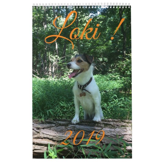 Kalender des Loki 2019 (Titelbild)