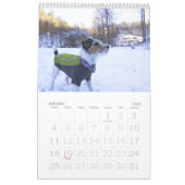 Kalender des Loki 2019 (Jan 2026)